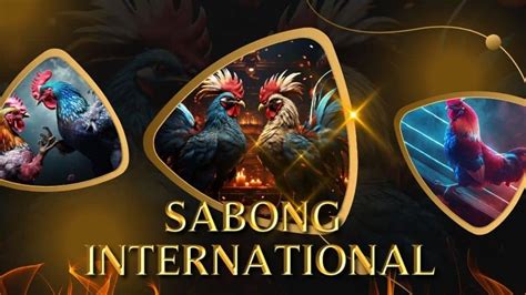 sabong international app|sabong international live.
